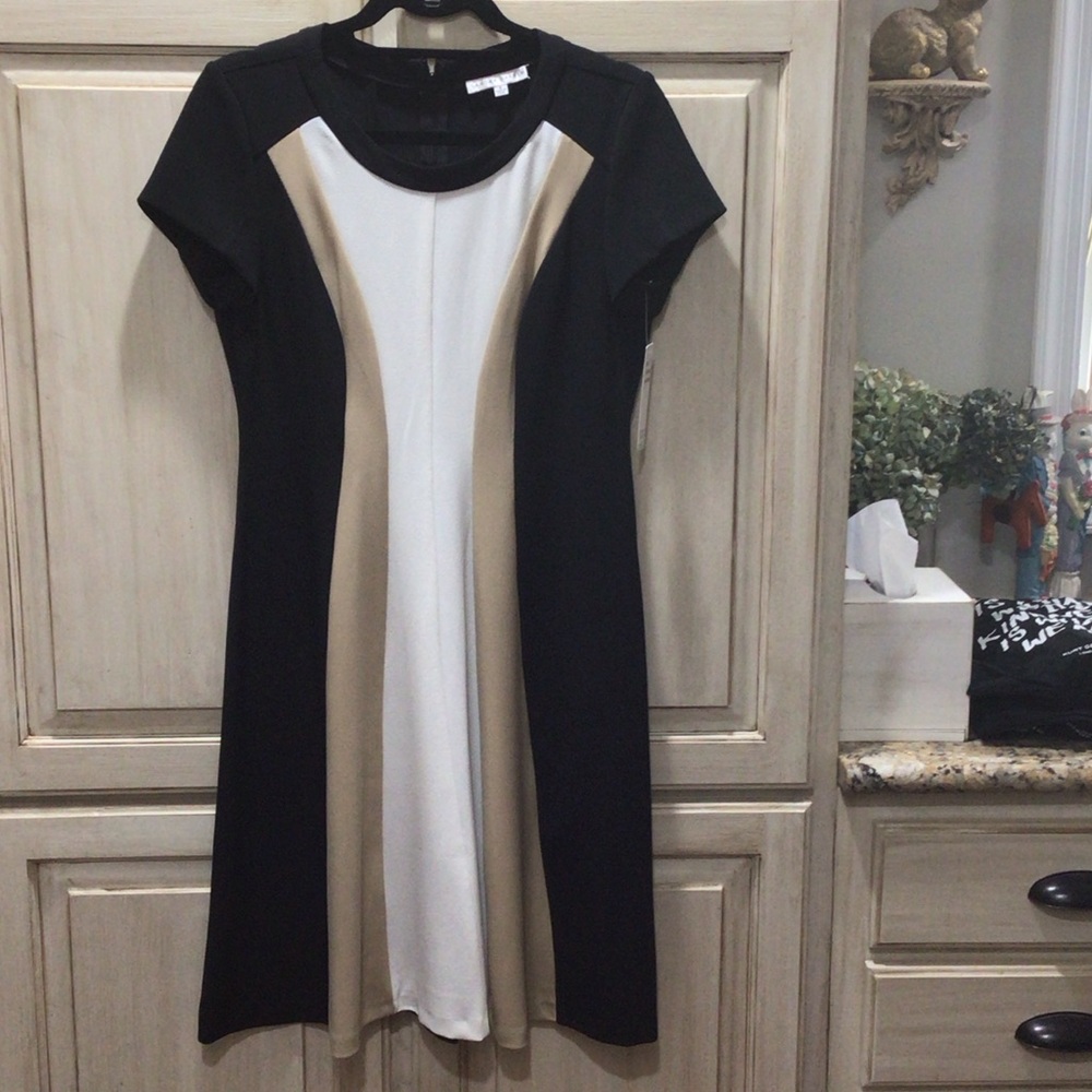 NWT Sandra Darren Black, Tan, and White Dress